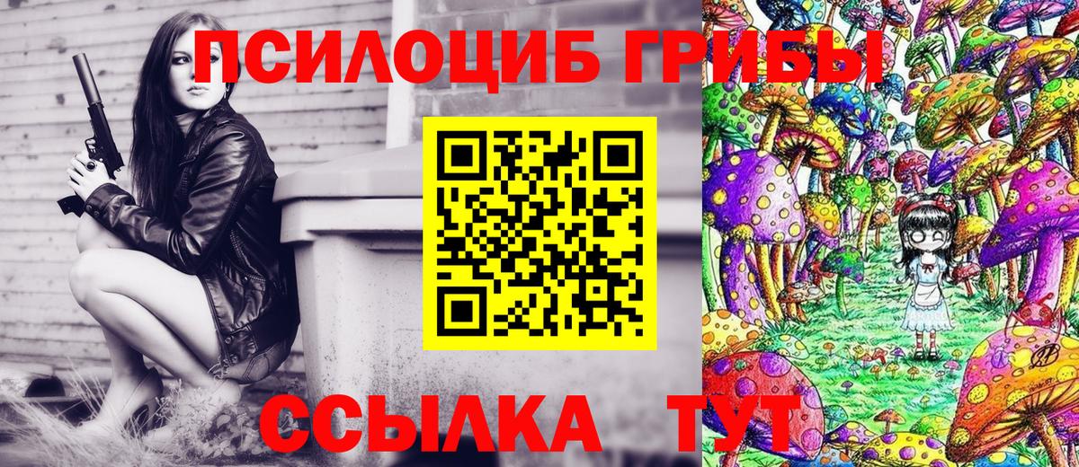 Белово  Псилоцибиновые грибы Cubensis  Вход с VPN  Галлюциногенные грибы прущие грибы 