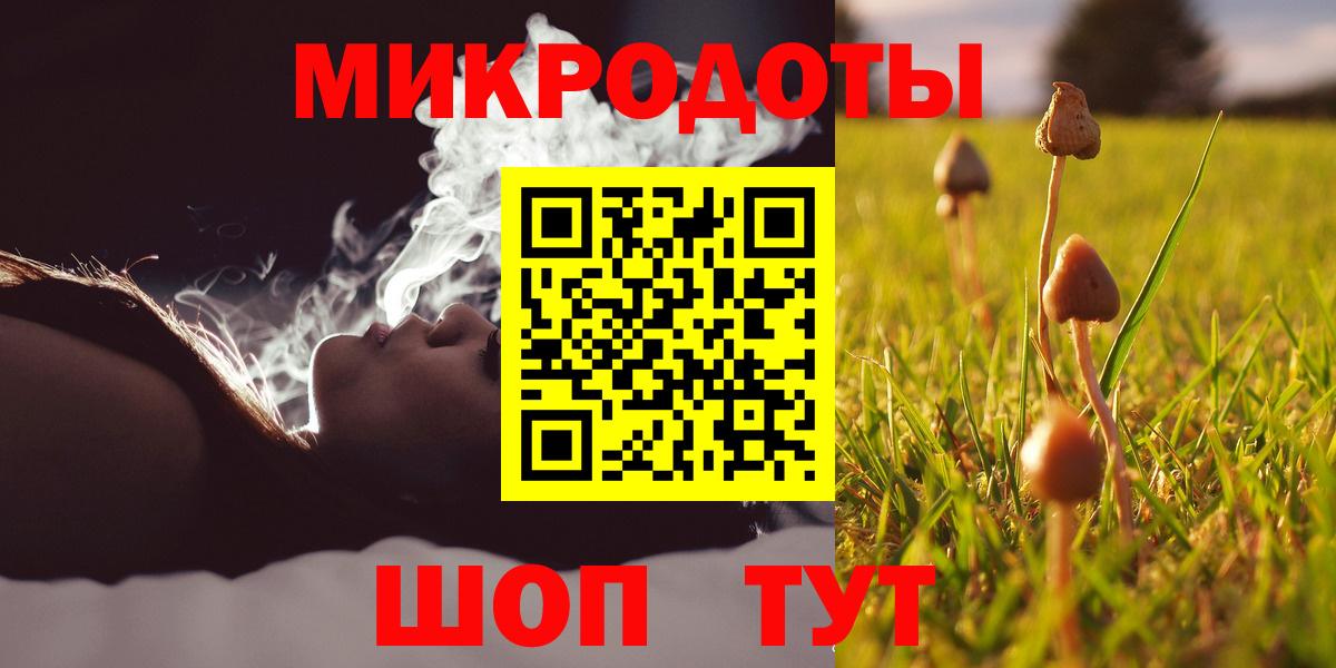 Псилоцибиновые грибы MAGIC MUSHROOMS Белово