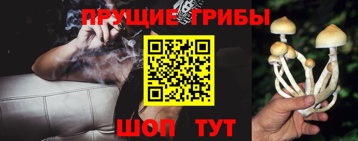 Галлюциногенные грибы Psilocybine cubensis  Белово 